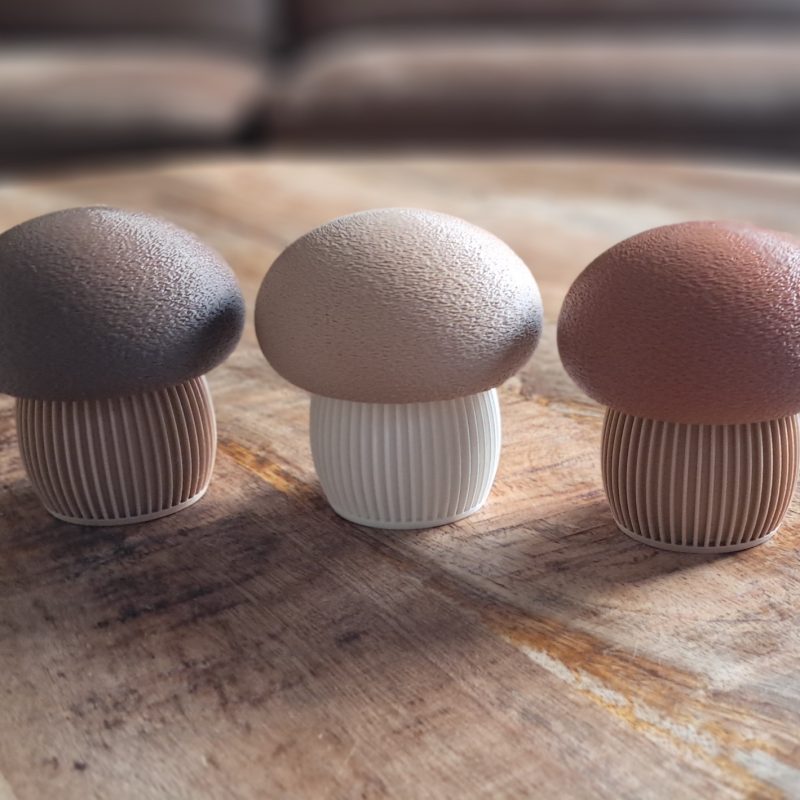 Japandi Mushroom